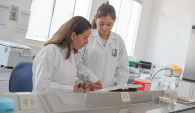 Uno de los requisitos para solicitar la visa de estudios es contar con pasaporte vigente. Foto: Gobierno del Perú   