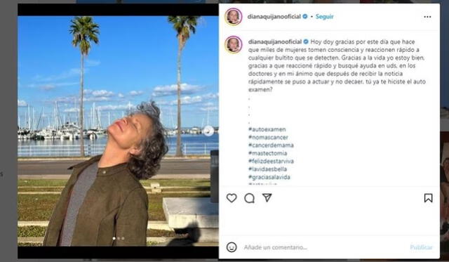  Diana Quijano sufrió cáncer de mama, pero logró salir airosa de la situación. Foto: Instagram   