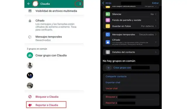 Así se encuentra la alternativa de reportar a un contacto. Foto: WhatsApp   