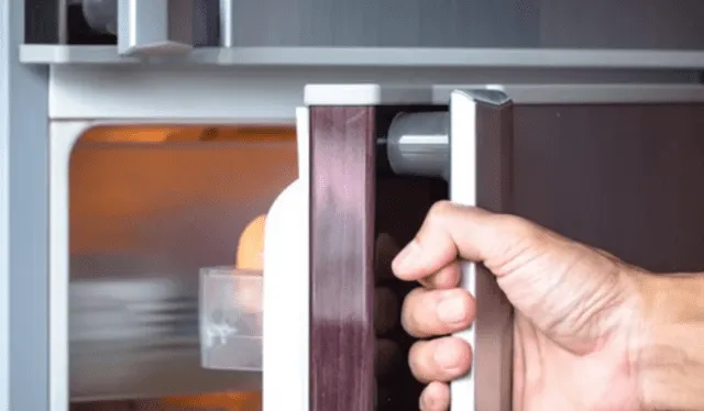 Abrir el refrigerador es un hábito que realizan las personas a diario. Foto: Sopitas   