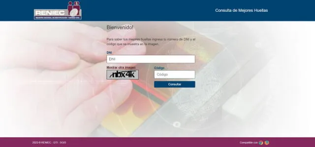 Una vez que ingreses a la web de la Reniec, debes escribir tu número de DNI y código para consultar tus huellas digitales más aptas. Foto: captura de Reniec   