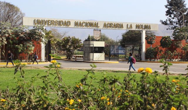 La Universidad Nacional Agraria La Molina también ofrece a sus estudiantes alimentación. Foto: Universidad Nacional Agraria La Molina/Facebook   