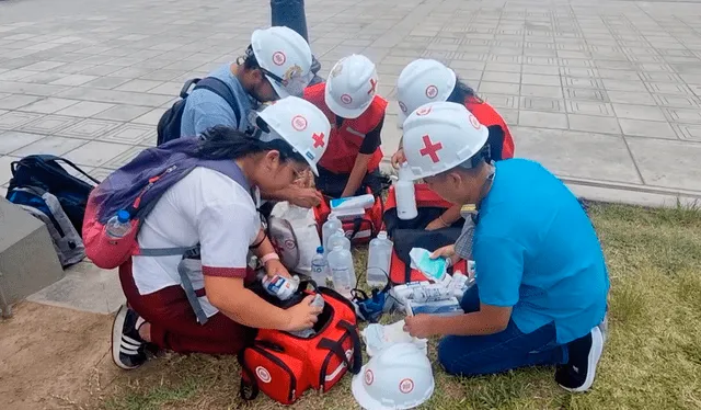 Brigadas en salud.    