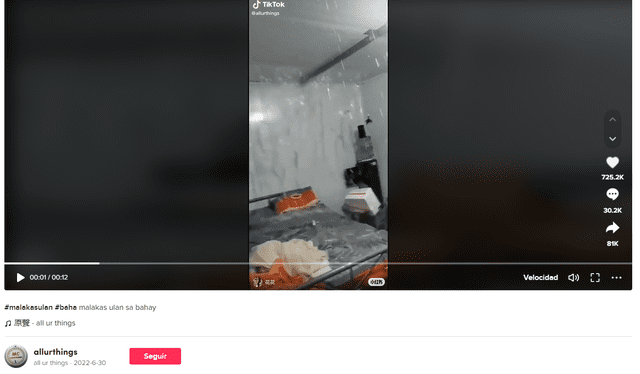  Video de agua cayendo en una habitación circula en internet desde 2022. Foto: captura&nbsp; en TikTok /&nbsp; @allurthings.    