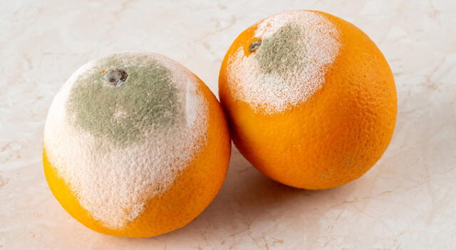 Naranjas hongueadas. Foto: LaRepública   
