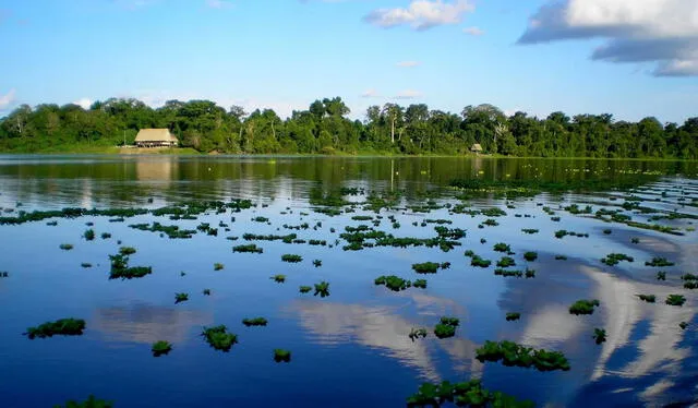  La Reserva Nacional Pacaya-Samiria. Foto: Andina   