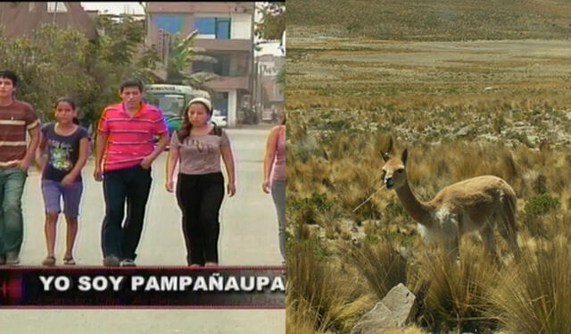 El apellido Pampañaupa proviene de las pampas andinas. Foto: composición LR/captura de Panamerica TV/difusión   