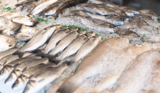 Se suele consumir pescado en esta época de Semana Santa. Foto: difusión 