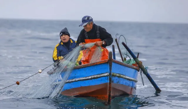 Produce aprobó listado de beneficiarios para Bono del Pescador Artesanal: conoce si eres uno de ellos. Foto: Produce   