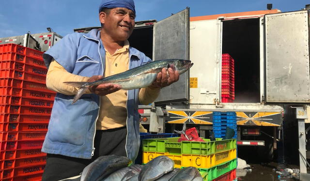 Terminal Pesquero de El Callao registra diariamente 250 toneladas de pescado. Foto: Andina<br>   