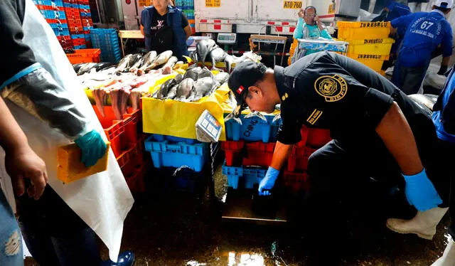 Agentes policiales revisaron balanzas del terminal pesquero. Foto: Félix Contreras/LR   