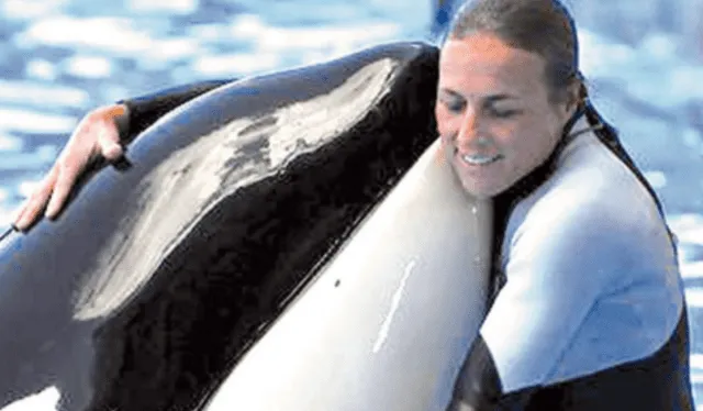 Dawn Brancheau amó desde muy joven entrenar a mamíferos marinos. Foto: Tri-County Times   