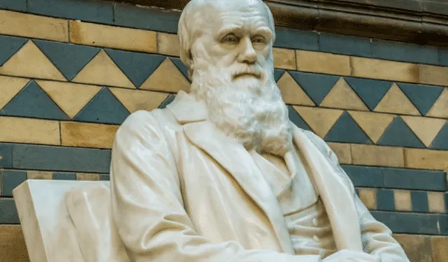 El mayor aporte de Charles Darwin a la Biología fue la teoría de la evolución mediante la selección natural. Foto: Fundación Aquae   