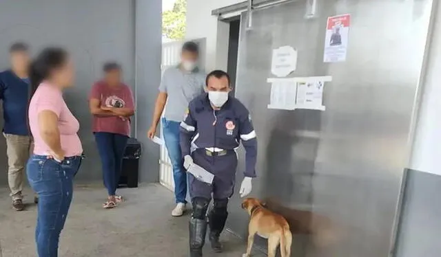 La leal mascota esperó a su dueño hasta su salida del hospital. Foto: Globo   