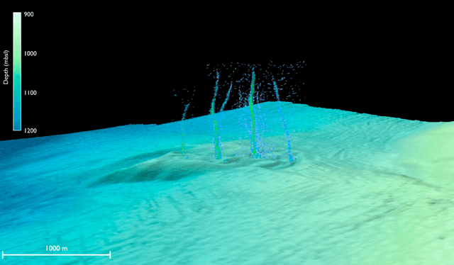  Imagen de sonar del sitio de la fuga, donde las burbujas se elevan desde el lecho marino. Foto: Philip et al./Science Advances   