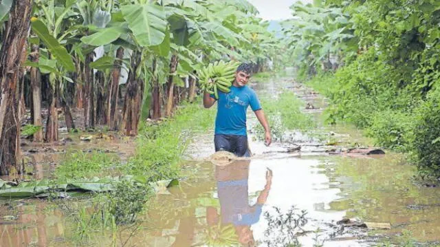 Los agricultores son los más afectados con el desborde del río Chira. Foto: difusión   