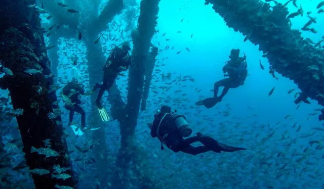 El arrecife artificial también atrae el turismo en la región Piura. Foto: Chelonia Dive   