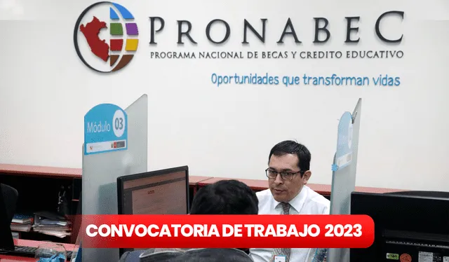 Pronabec está buscando <strong>profesionales</strong> bachilleres y titulados universitarios. Foto: Composición LR/ Andina    