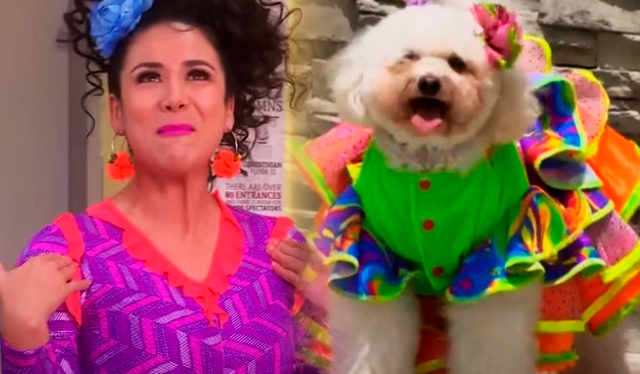 Teresa Collazos (Magdyel Ugaz) es diseñadora de ropa para perros en "Al fondo hay sitio". Foto: composición La República/América Televisión   