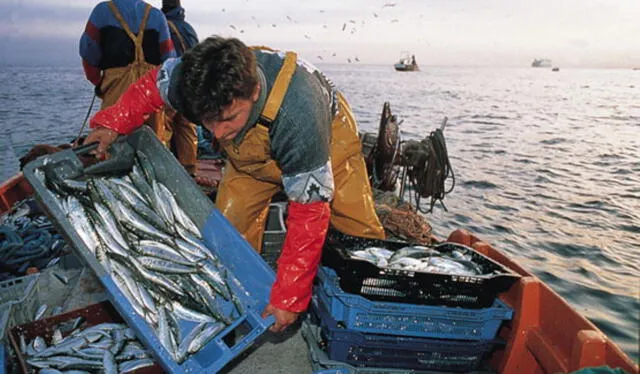 Una de las labores de Produce está con la producción del sector de la pesca. Foto: Produce   