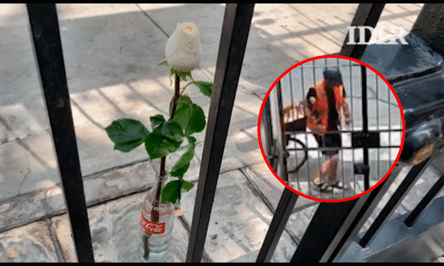 El sujeto dejó una botella de vidrio con una rosa blanca dentro de ella. Foto: composición LR/captura de Twitter   