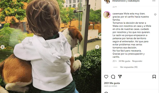  Cassandra Sánchez explica qué pasó con su perrito Wakamole. Foto: captura de Instagram   