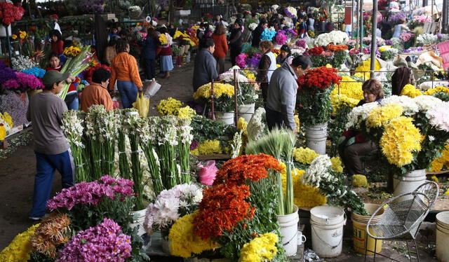  El Mercado de Flores suele estar lleno de personas en los días cercanos al Día de la Madre. Foto: Andina   