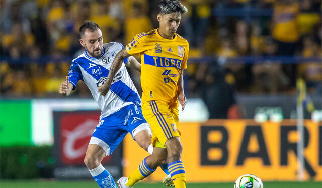 Tigres derrotó 1-0 a Puebla en el partido de reclasificación. Foto: AFP   