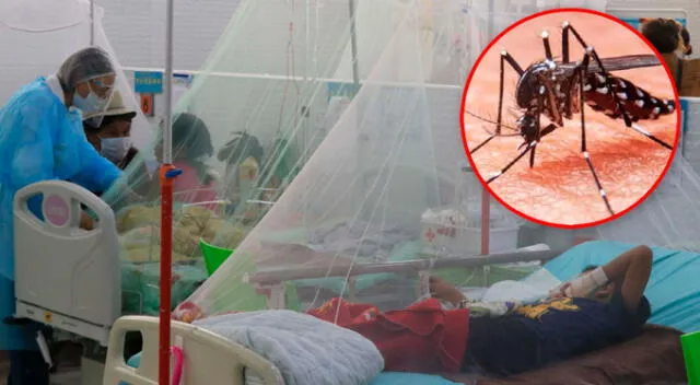  Emergencia por Dengue: Se confirman el cuarto fallecido por dengue en La Libertad | LR+ Noticias   