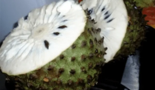   Soursop helps to have a good digestion.  Photo: EsSalud   