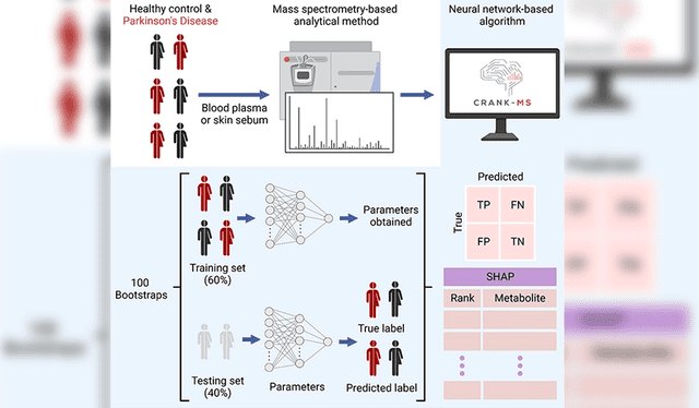  La herramienta CRANK-MS evalúa el riesgo de Parkinson a través de la sangre. Imagen: Zhang et al., ACS Cent. Sci., 2023    