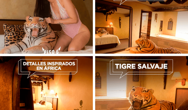 El hotel Piso 6 también posee una habitación en referencia a África. Foto: La República/Instagram @piso6_barranco   