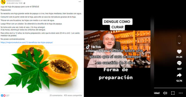  Publicaciones que aseguran falsamente que el dengue se cura con hoja de papaya. Foto: capturas en Facebook y TikTok.    