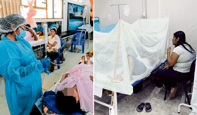 En la región Piura hay más de 20.000 casos de dengue. Foto: Difusión   