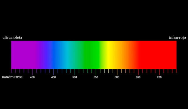  Colores de la luz visible por el ojo humano. Imagen: concepto    