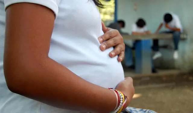  El embarazo adolescente es considerado como un problema de salud pública. Foto: difusión   