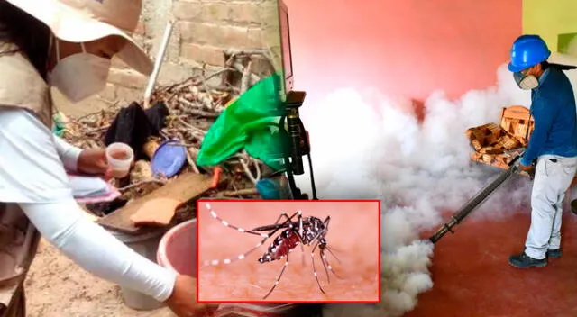  Las muertes por dengue en Lambayeque siguen aumentando. Composición LR   