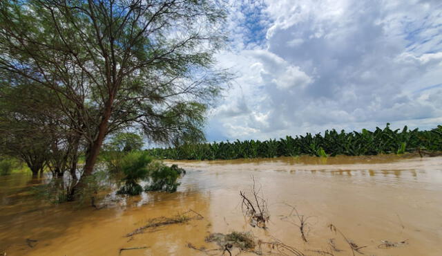 Agricultores en el norte del país se vieron afectados por las lluvias. Foto: Almendra Ruesta / La República    