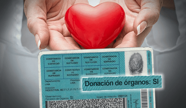 Dicha ley promueve la donación de órganos de donantes cadavéricos. Foto: archivo GLR   