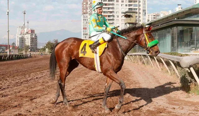 Los mejores ejemplares de Chile corren en el Hipódromo Chile. Foto: Hipódromo Chile Oficial / Facebook   