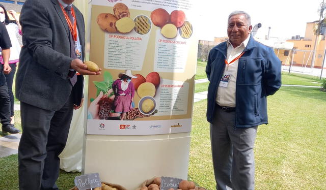  Según el proceso consultivo, se esperan bajos costos tras rendimiento del guano de isla, reemplazante de los fertilizantes comunes. Foto: difusión    