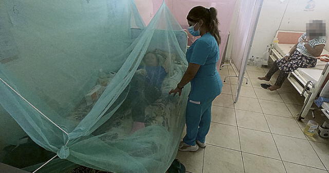 Casos de dengue en Piura siguen en alza, pacientes graves no encuentran camas. Foto: difusión   
