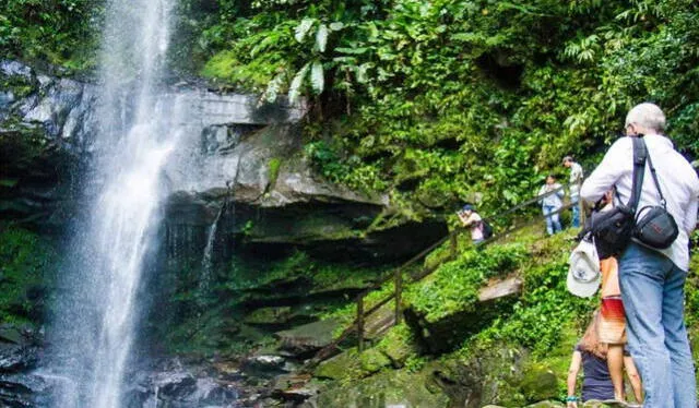  La catarata de Ahuashiyacu es uno de los lugares más visitados de San Martín. Foto: La República   