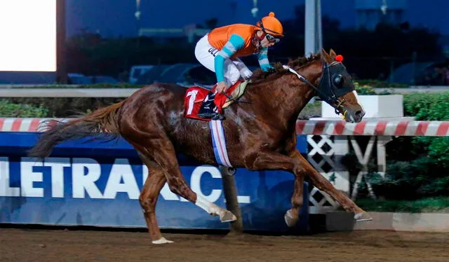 Niquense fue el ganador del Clásico Gran Premio de Honor el último sábado 3. Foto: Hipódromo Chile Oficial/Facebook   