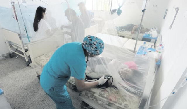  Crisis. La epidemia de dengue está lejos de ser controlada en el norte. Enfermedad pone en riesgo a personas vulnerables. Foto: difusión   