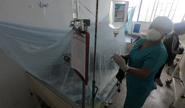 Advierten presuntas deficiencias en la lucha contra el dengue. Foto: La República   
