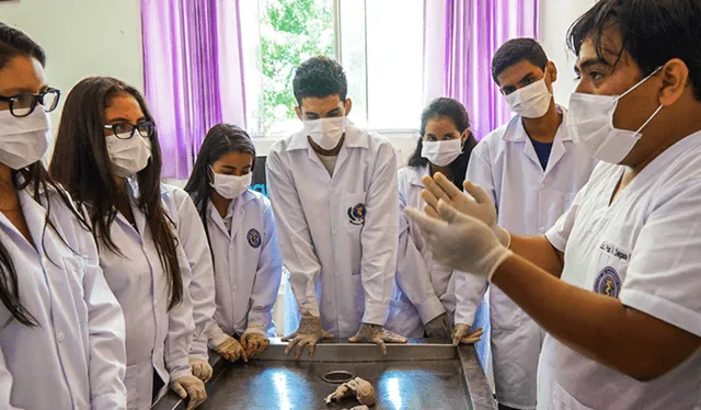  En el Perú, diferentes universidades ofrecen la carrera de Medicina. Foto: difusión   