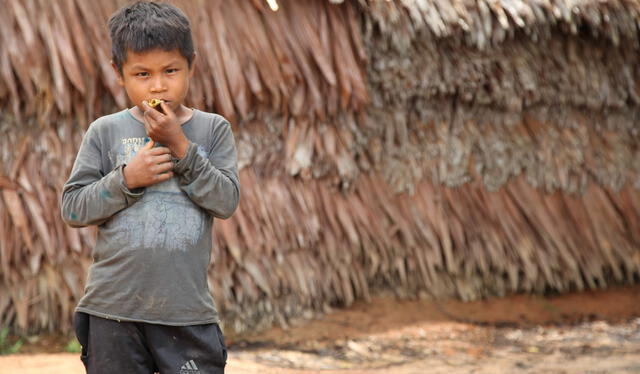 Los niños aprenden en sus primeros años a recolectar frutos de la selva. Foto: Semana <br>   