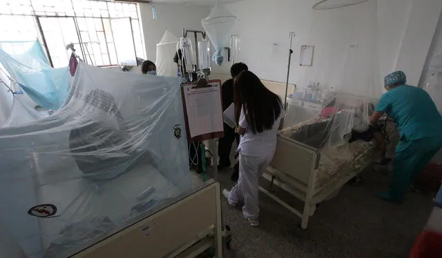  En Lambayeque. Ya son 77 personas fallecidas por dengue. Foto: La República   