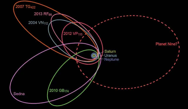  Órbita hipotética del Planeta 9 respecto a los demás planetas y otros objetos lejanos del sistema solar. Imagen: nagualdesign / Wikimedia Commons    